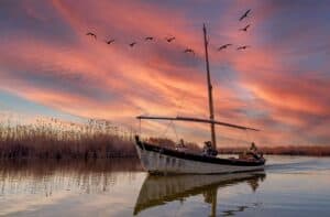 Qué Ver en la Albufera