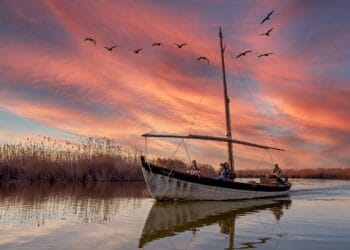 Qué Ver en la Albufera