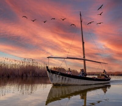 Qué Ver en la Albufera