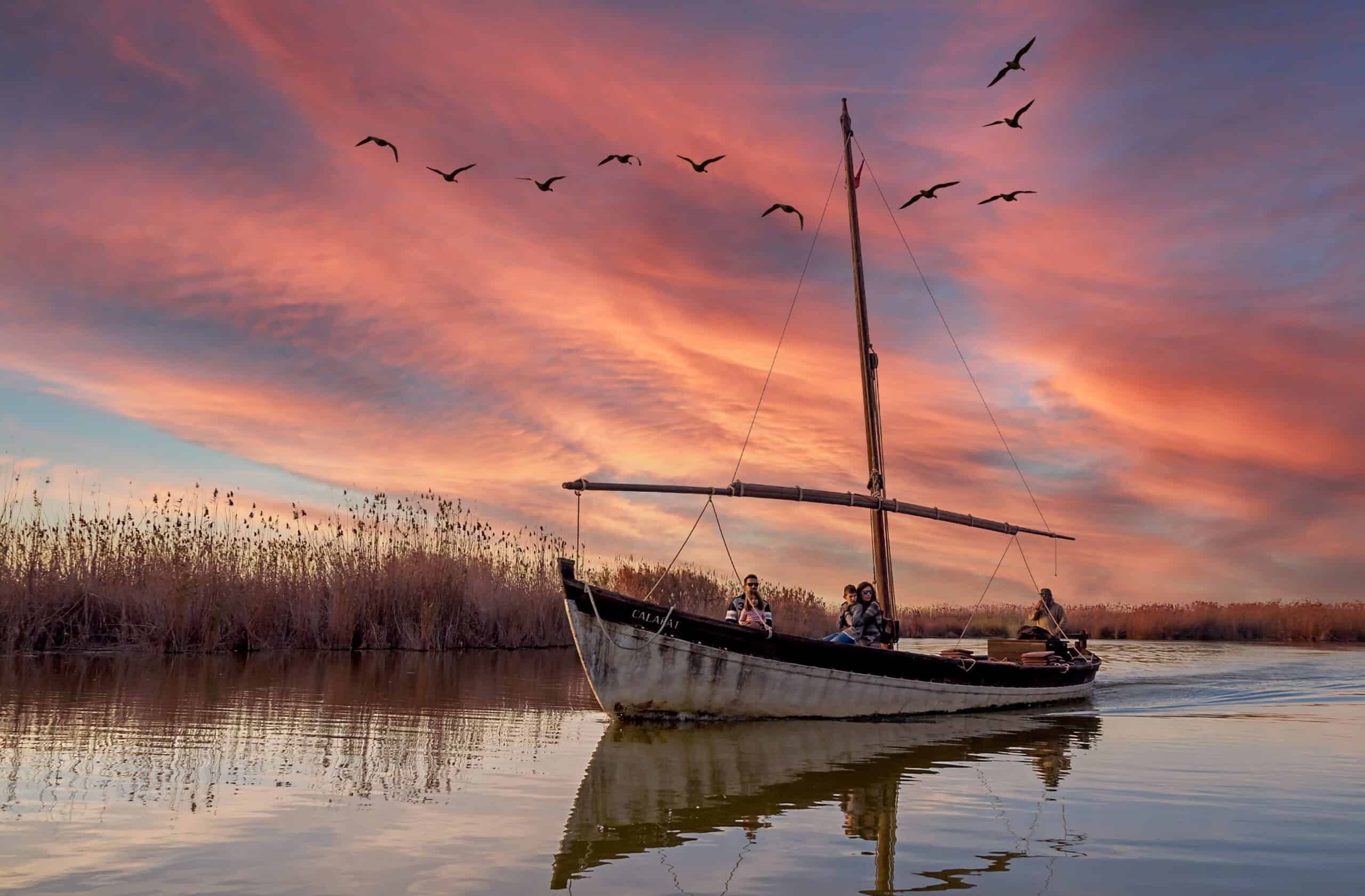 Flamencos en el Racó de l'Olla del Parque Natural de la Albufera de Valencia