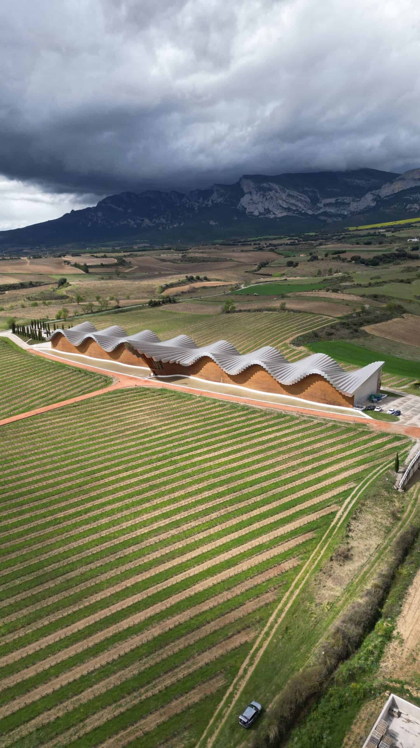 Bodegas subterráneas con barricas de vino en la Rioja Alavesa