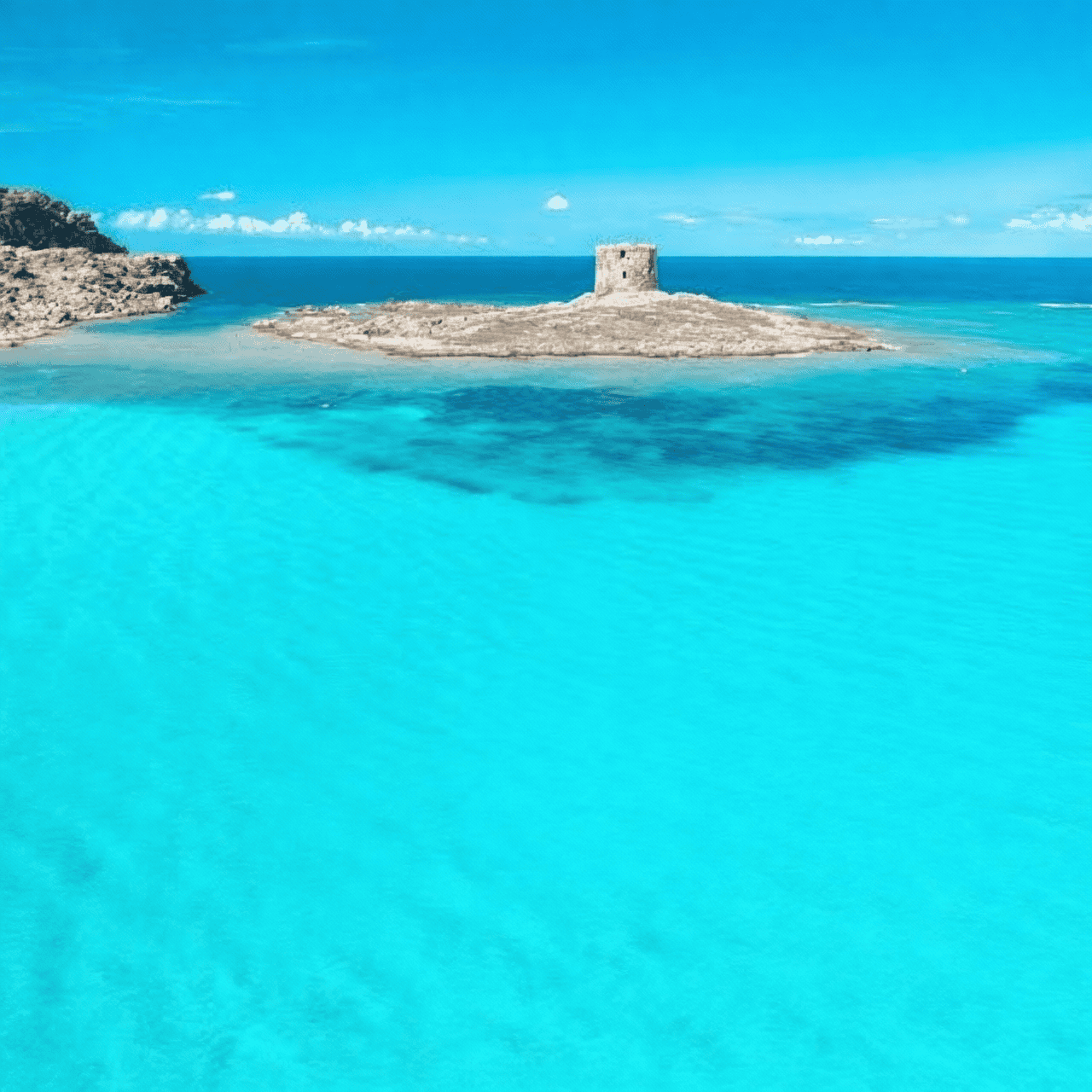 Barco de excursión al Parque Nacional de Asinara desde Stintino