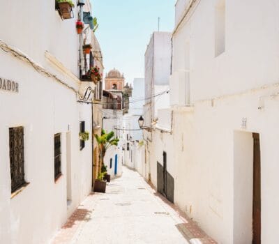 Calle estrecha con casas blancas y plantas en macetas en España.