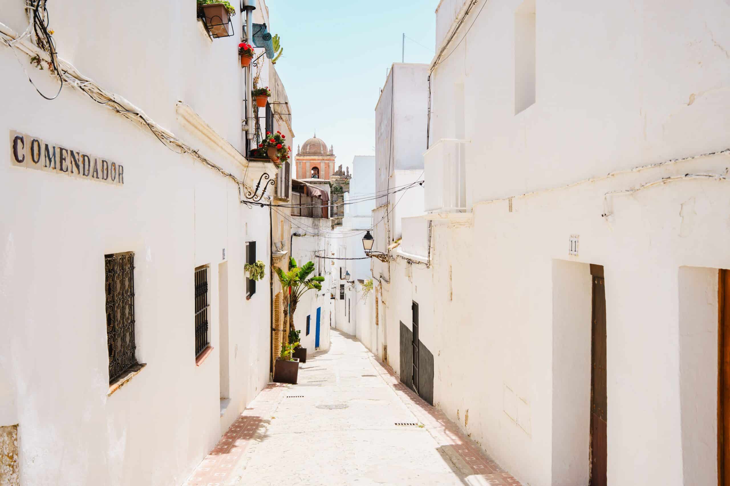 Calle estrecha con casas blancas y plantas en macetas en España.
